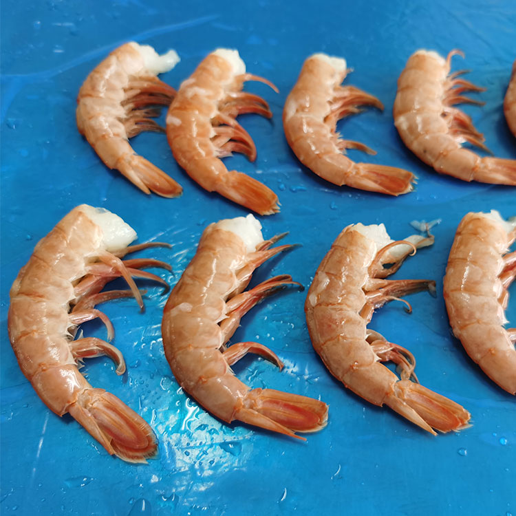 냉동 아르헨티나 붉은 새우 껍질