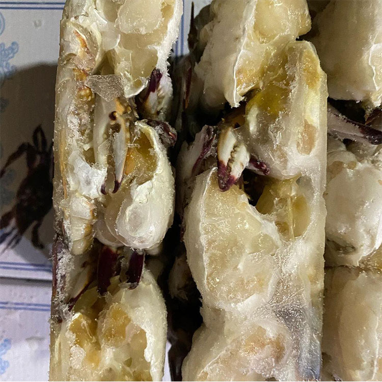 냉동 반 컷 수영 게