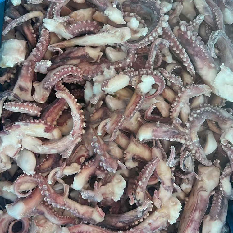 얼어붙은 껍질 없는 오징어 촉수